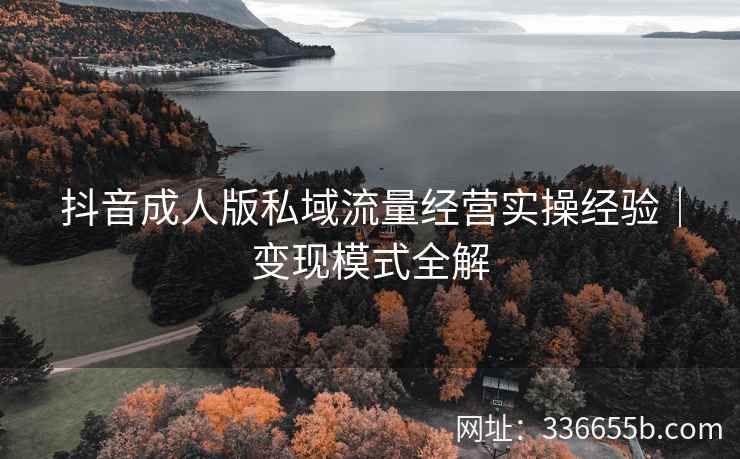 抖音成人版私域流量经营实操经验｜变现模式全解