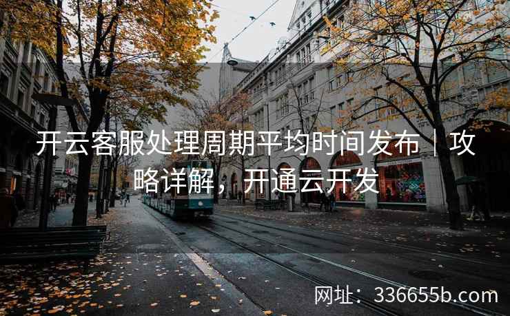 开云客服处理周期平均时间发布｜攻略详解，开通云开发